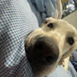 Meet your Posher, Ava